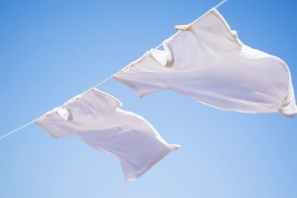 Laundry Day (BBW)