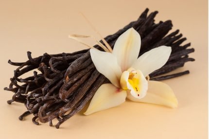 Vainilla