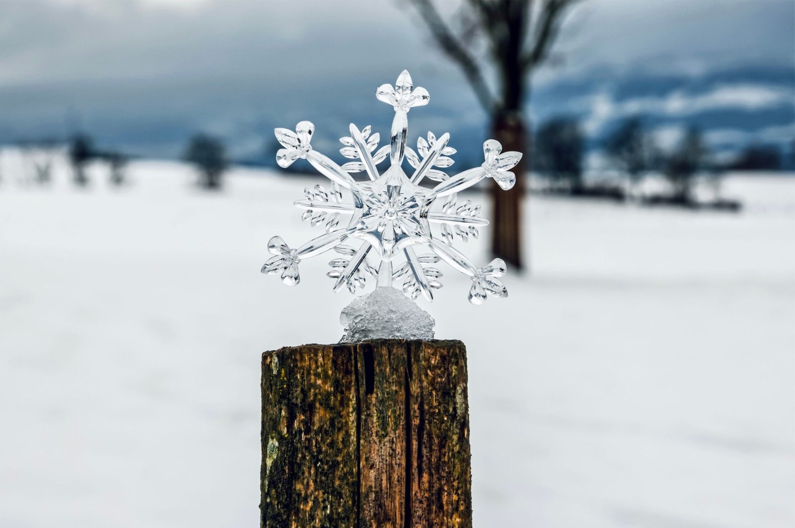 Snowflakes & Cashmere