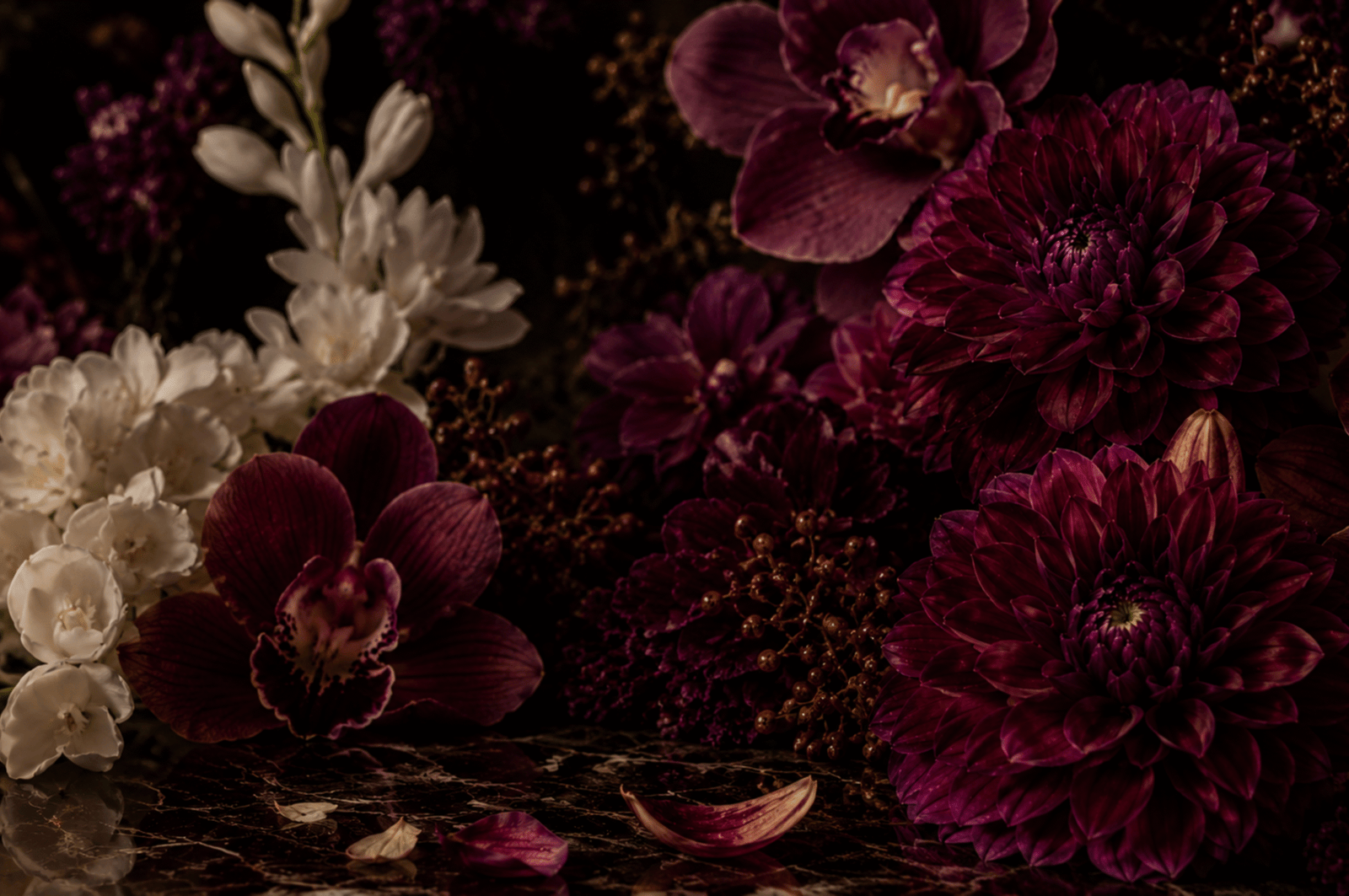 Mystic Dahlia